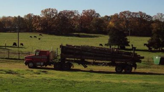 Harvesting in co-operation with agri-business